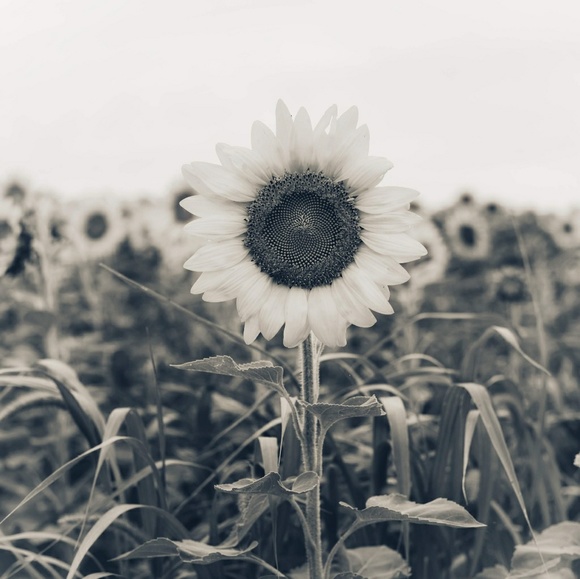 Meet your Posher, Michaela - Picture 1 of 1